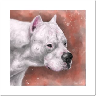 Painting of A Dogo Argentino on a Grungy Peach Background Posters and Art